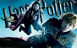 Harry Potter and the Half Blood Prince